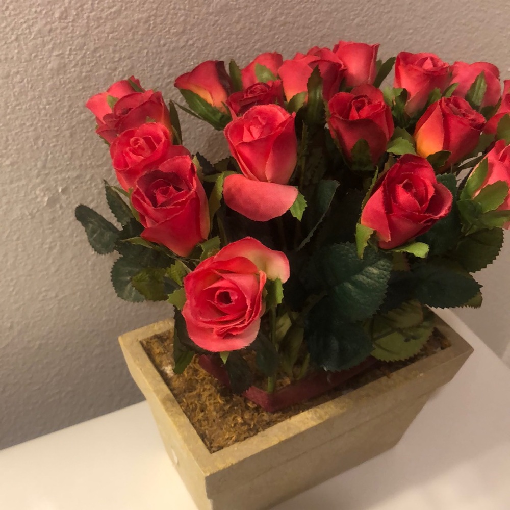 Flowers - Picture 3 of 3